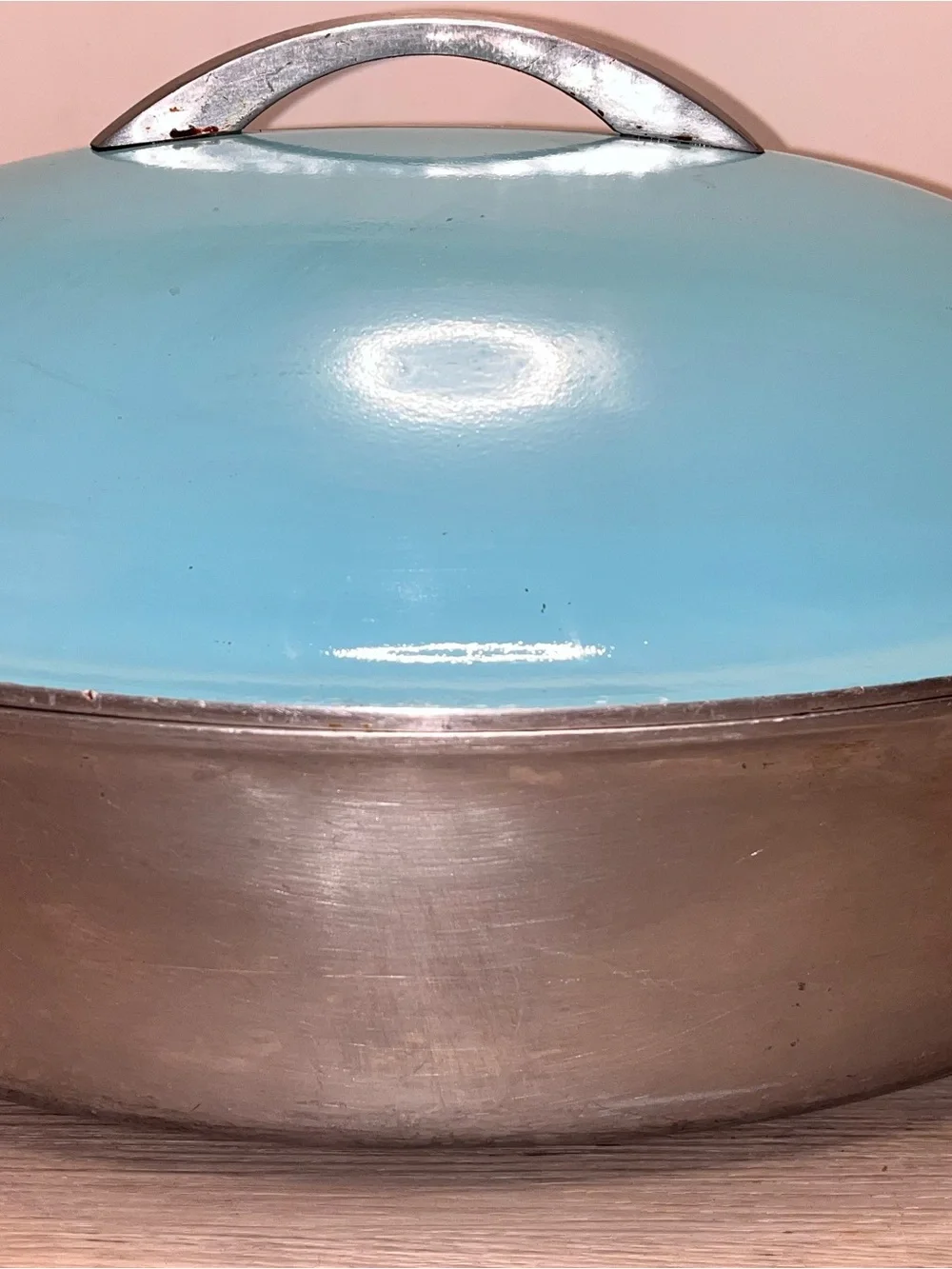 Turquoise Covered Roasting Pan with Handle - Unbranded